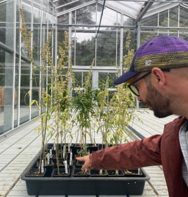 Rainer Meltzer in his hemp lab by Claire O'Connell